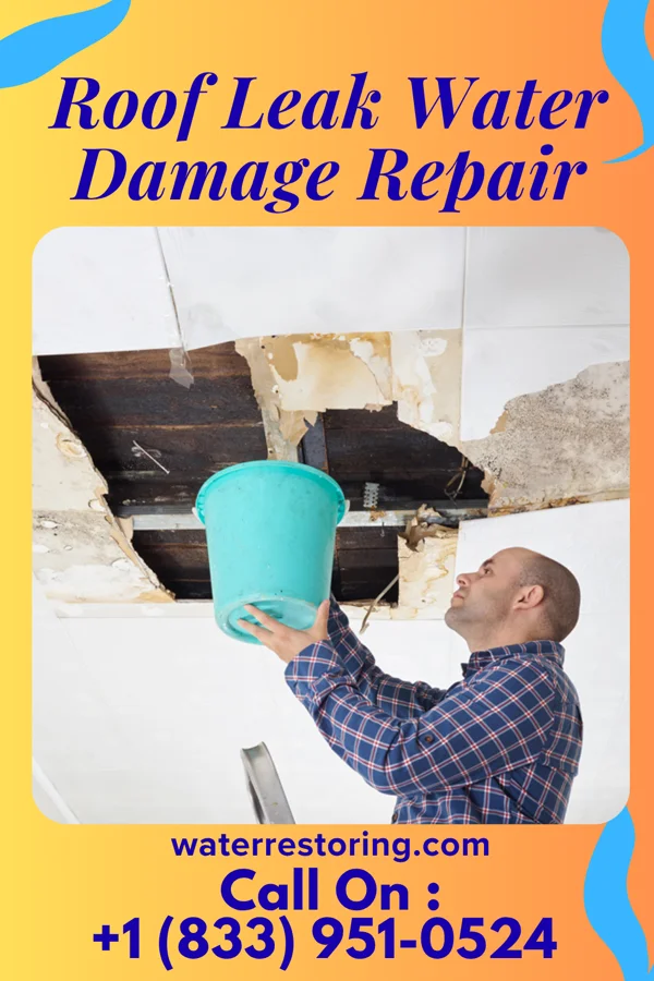 Roof Leak Water Damage Repair in Bridgeport, TX